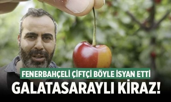 Fenerbahçeli çiftçi: ‘Beslediğim ağaç Galatasaraylı çıktı’  